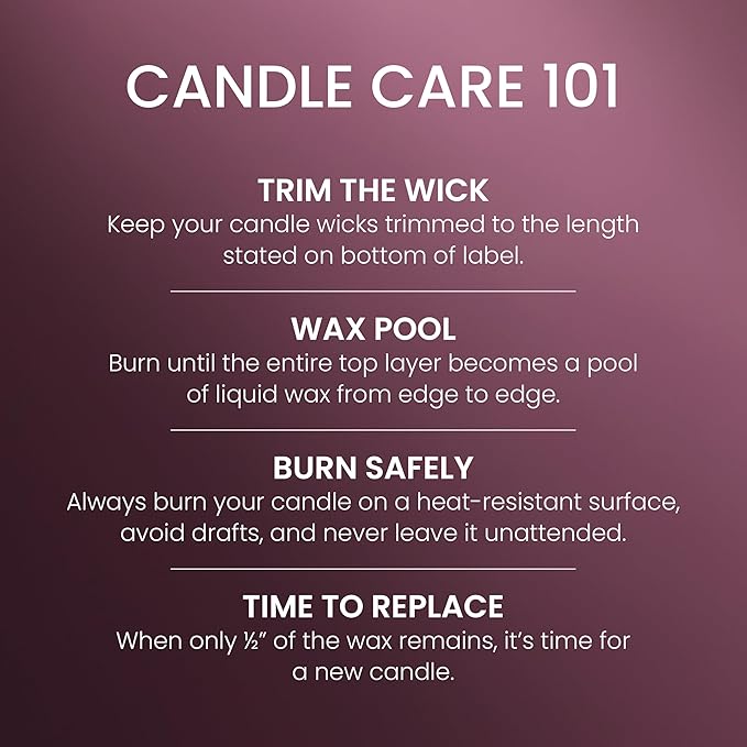 Yankee Candle Sparkling Winterberry Scented Candle, 22oz Large Jar with up to 150 Hour Burn Time, Giftable, Holidays