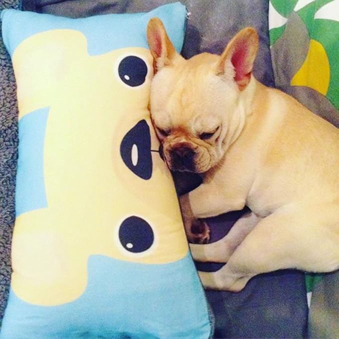 Shop&Three Custom Design Photos or Text Outdoor/Indoor Throw Pillowcase,Personalized Pet Photo Pillow, Love Photo Throw Pillowcases, Wedding Keepsake Throw Pillow Covers 12" x 16"