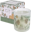 ROMIIE ZOI Christmas Scented Candle - 6oz Soy Wax Candle for Decoration, Winter Candle, Infused with Winter Pine Aroma - Cream & Green Gift Box Packaged for Holiday Season Gift