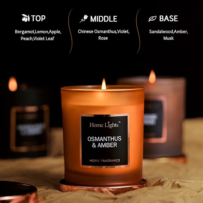 HomeLights Luxury Scented Candle, Natural Soy Wax, Home Fragrance Decor Gift, Osmanthus & Amber, Medium Jar