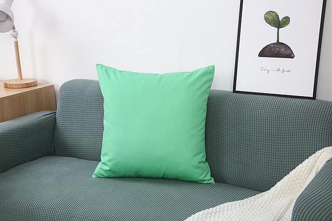 TangDepot Handmade Decorative Solid 100% Cotton Canvas Throw Pillow Covers/Cushion Covers, 45 Colors Available - (28" x 28", Mint Green)