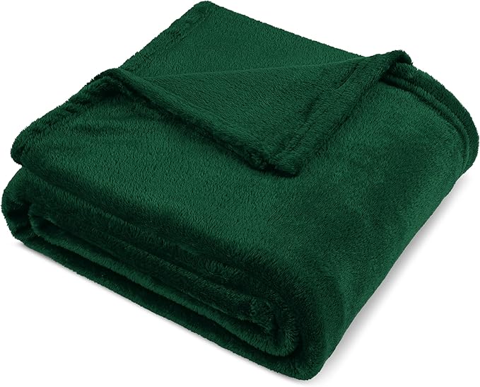 PAVILIA Fleece Blanket Queen Size | Super Soft, Plush, Luxury Flannel Throw | Lightweight Microfiber Blanket for Sofa Couch Bed (Emerald Green, 90x90 inches)