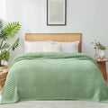 Snuggle Sac Queen Size Blanket for Bed, Soft Luxurious Bedding Blankets, Large Fuzzy Plush Microfiber Blankets, Sage Green, 90x90 inches