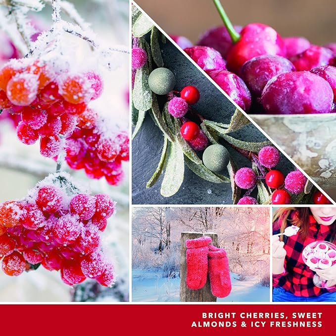 Yankee Candle Cherries On Snow Scented, Signature 20oz Large Jar 2-Wick Candle, Over 60 Hours of Burn Time, Christmas | Holiday Candle