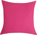 TangDepot Handmade Decorative Solid 100% Cotton Canvas Throw Pillow Covers /Pillow Shams, (16" x16" , Hot Pink, 1 Count (Pack of 1))
