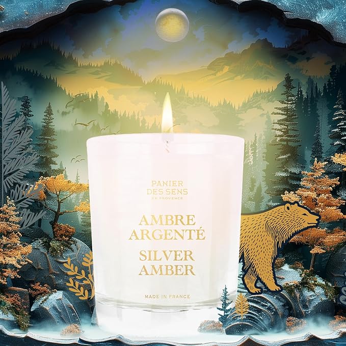 Panier des Sens – Silver Amber Candle – Christmas Clearance Scented Candles – Long Lasting Scented Candles for Home – Winter Candle – 100% Natural Cotton Wick – Decorative Home Gifts - 6.3 oz
