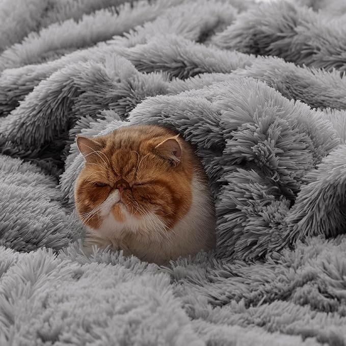 Bedsure GentleSoft Fuzzy Sherpa Faux Fur Twin Blanket Grey Cozy Gifts for Women Men, Soft Fleece Plush Warm Minky Thick Blanket Twin Size for Bed, Couch, Dorm Essentials Grey Room Decor Gifts, 60x80