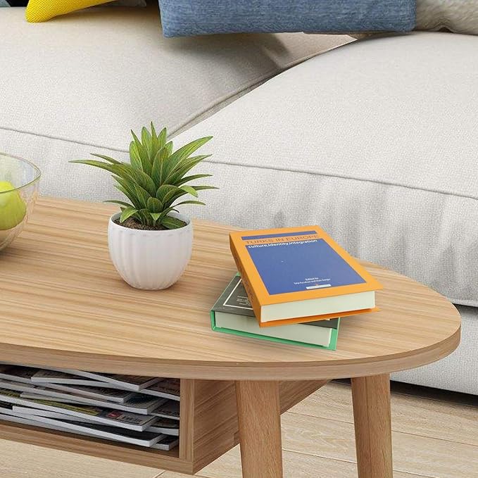 EFH 6 Pcs Faux Books for Modern Decoration - Fashionable Fake Books for Home Decor - Aesthetic Entryway, Coffee Table, Bookshelf Decor (Set of 1)