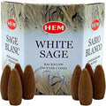 Hem White Sage Incense Cones - (40 Backflow Incense Cones) - Earthy Sage Inscents-Cones Waterfall | Thick Cloudy Incense Fountain Waterfall, Gift These Hem Incense Cones