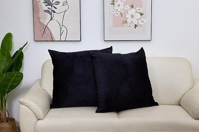 2 Packs Throw Pillow Covers, Neutral Decorative Couch Pillow Cover for Living Room Bed Sofa Rustic Farmhouse Boho Home Decor, Soft Plush Cushion Case Slipcover (Black, 26"x 26")