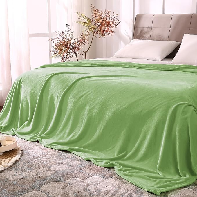 BEDELITE Fleece Blankets Queen Size Grass Green Throw Blankets for Bed, Luxury Plush Cozy Fuzzy Blanket 90x90 inches, Super Soft Warm Lightweight Throw Blanket All Seasons Suitable