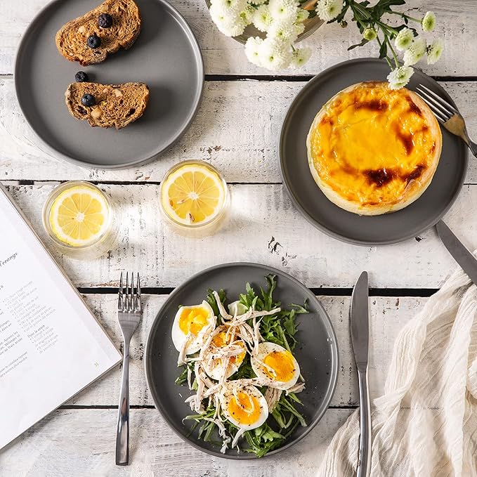AmorArc Ceramic Plates Set of 6, Matte Glaze 8.0 Inch Dishes Set for Kitchen, Dessert,Salad,Appetizer, Small Dinner Plates, Microwave & Dishwasher Safe, Scratch Resistant, Matte Grey