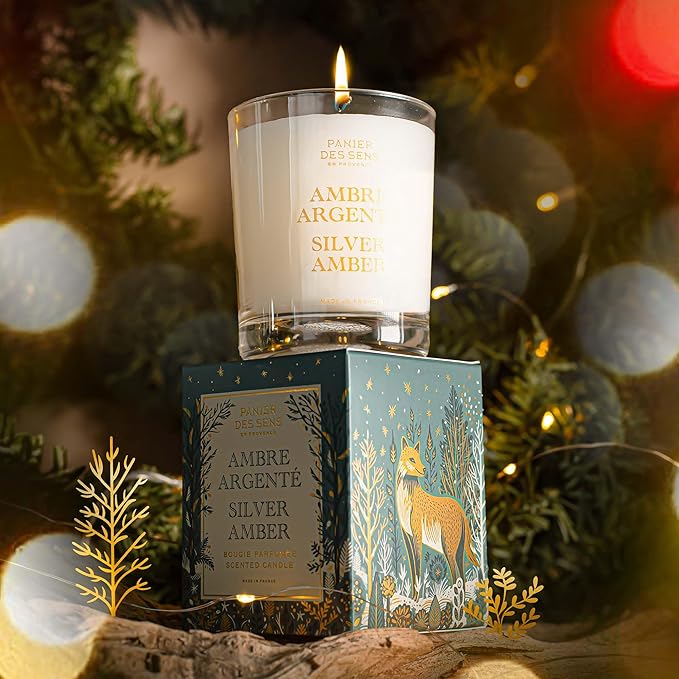 Panier des Sens – Silver Amber Candle – Christmas Clearance Scented Candles – Long Lasting Scented Candles for Home – Winter Candle – 100% Natural Cotton Wick – Decorative Home Gifts - 6.3 oz