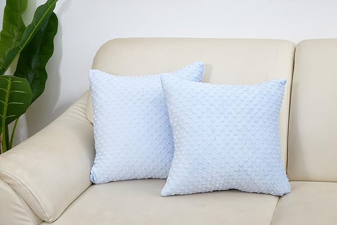 2 Packs Throw Pillow Covers, Neutral Decorative Couch Pillow Cover for Living Room Bed Sofa Rustic Farmhouse Boho Home Decor, Soft Plush Cushion Case Slipcover (SkyBlue, 18"x 18")