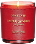 M&SENSE Citrus Floral Scented Soy Candles, Vegan Soy Candle,10oz 42-Hour Long Last Burning Time, No Toxin Bathtub Relaxing Stress Relief Fall Winter Home Fragrance Thanksgiving Christmas Gifts