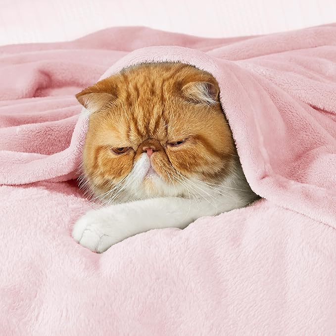 Bedsure GentleSoft Pink Fleece Throw Blanket for Couch - 300GSM Cozy Soft Blankets for Women, Cute Small Fleece Throws for Girls, Pink Home Decor Gifts, 50x60 Inches