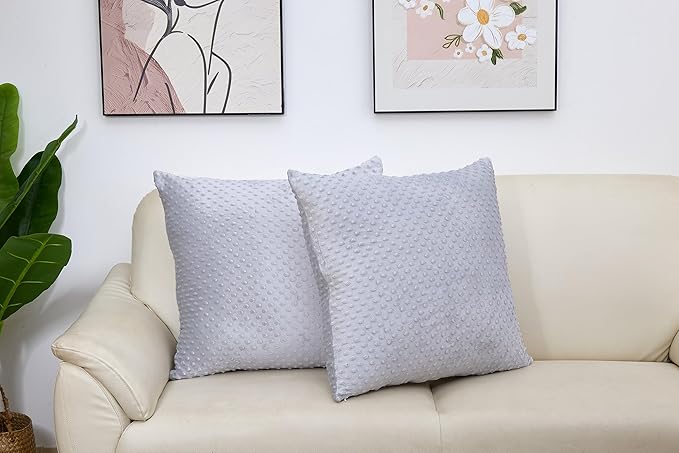 2 Packs Throw Pillow Covers, Neutral Decorative Couch Pillow Cover for Living Room Bed Sofa Rustic Farmhouse Boho Home Decor, Soft Plush Cushion Case Slipcover (Gray, 24"x 24")