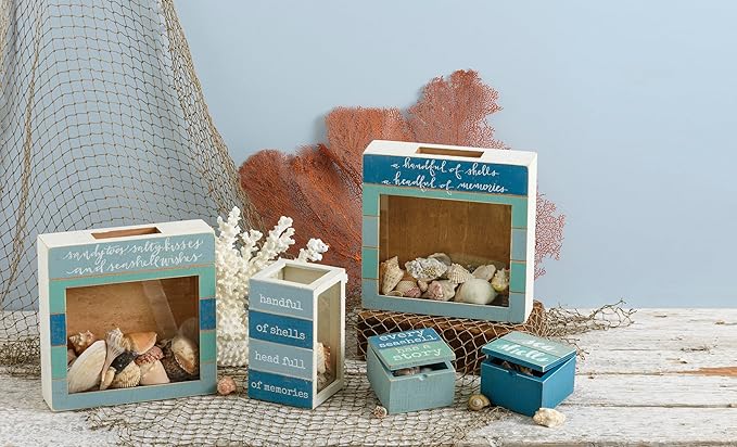 Primitives by Kathy Seashell Holder - Coastal Decor, Glass Display, Treasure Chest, Room and Bedroom Decor