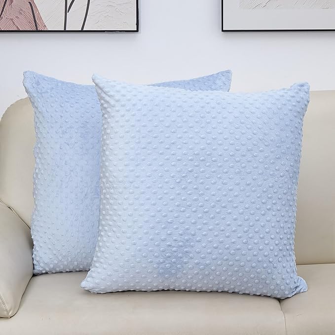 2 Packs Throw Pillow Covers, Neutral Decorative Couch Pillow Cover for Living Room Bed Sofa Rustic Farmhouse Boho Home Decor, Soft Plush Cushion Case Slipcover (SkyBlue, 24"x 24")