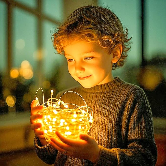 Ehome Fairy Lights, USB Operated Fairy Light Plug in 33ft 100 Led Waterproof String Lights Copper Wire Decorative String Light for Bedroom Indoor Christmas Wedding Party Patio Window