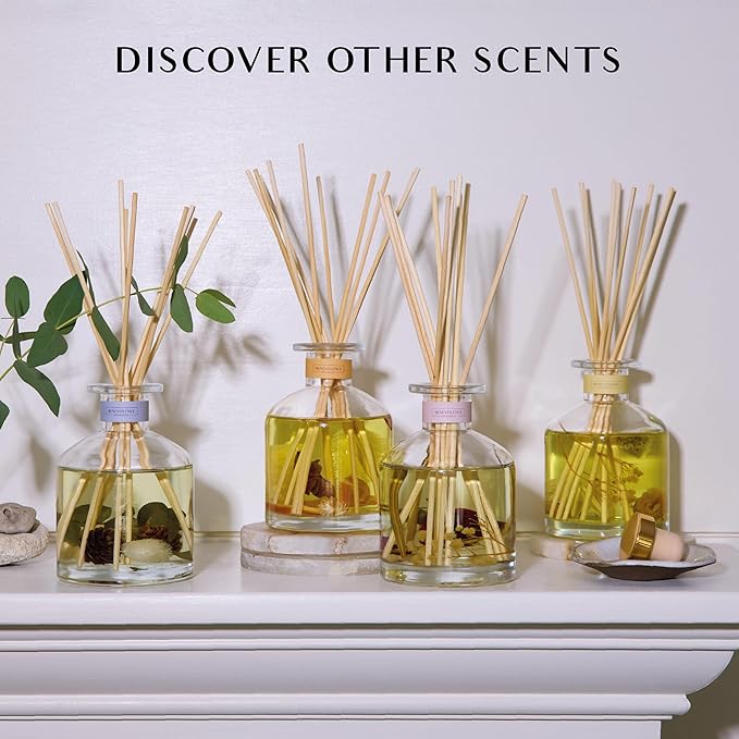 Benevolence LA Morning Ritual Reed Diffuser | Bergamot & Jasmine | Home Fragrance Diffuser for Bathroom | Long-Lasting Scent Sticks | Sun-Kissed Collection
