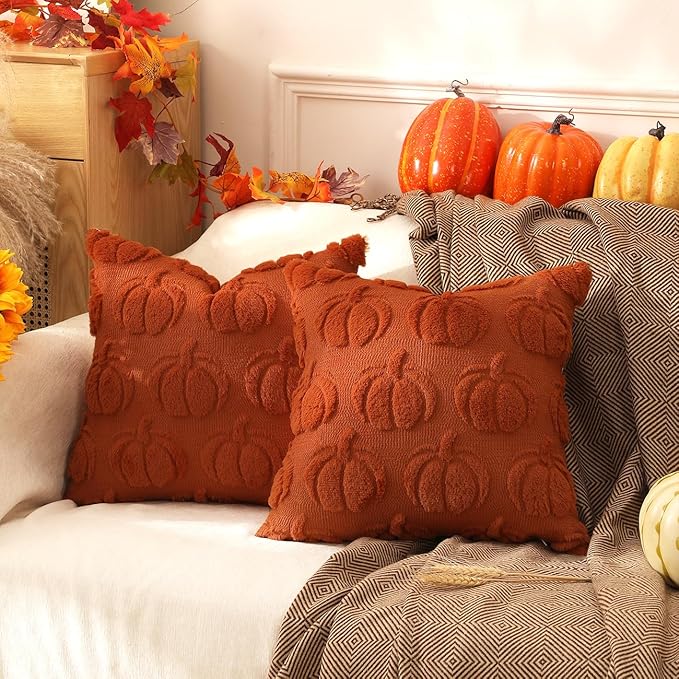 TOYPOPOR Fall Decorations, 2 Packs Double Sided Throw Pillow Covers, Rust Red Soft Faux Fur Pumpkin Pillow Cases Autumn Harvest Thanksgiving Indoor Outdoor Home Decor for Living Room Porch Couch 20x20