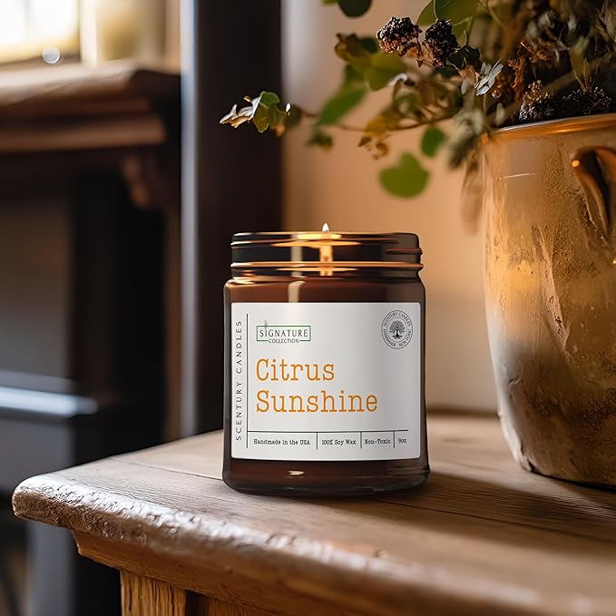 Citrus Sunshine Scented Candle, Many Scents to Choose from, All Natural Non-Toxic Soy Wax, Handmade in The USA (Citrus Sunshine)