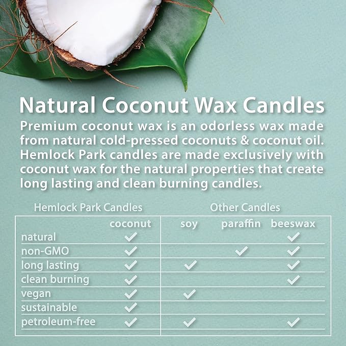 Hemlock Park Amber & Gold Wood Wick Candle Handcrafted with Natural Coconut Wax (Standard 7.2 oz, Foxtail Fir)
