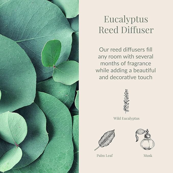 Archipelago Botanicals Eucalyptus Reed Diffuser, Home Fragrance Reed Diffuser, Includes Fragrance Oil, Decorative Wooden Cap & 10 Diffuser Reeds, Perfect for Home, Office or Gift, 7.85 fl oz