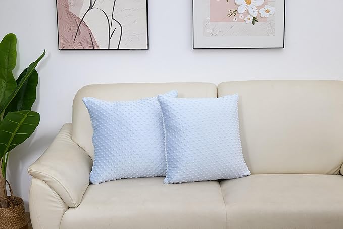 2 Packs Throw Pillow Covers, Neutral Decorative Couch Pillow Cover for Living Room Bed Sofa Rustic Farmhouse Boho Home Decor, Soft Plush Cushion Case Slipcover (SkyBlue, 20"x 20")