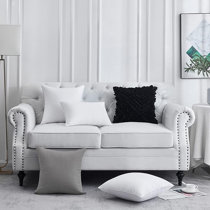 20 x 20 Pillow Inserts (Set of 2) - 20 Inch Square Interior Couch Throw Pillow with 100% Cotton Cover - Decorative Pillow Insert Pair - White Sofa Pillow
