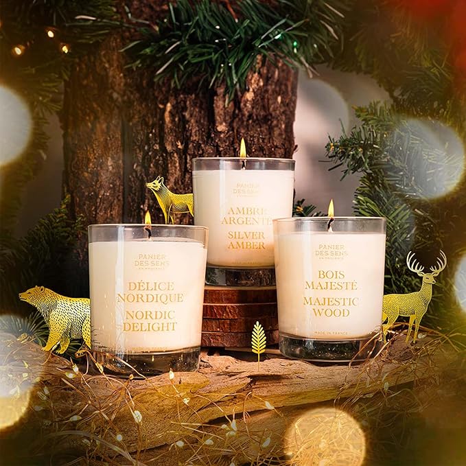 Panier des Sens – Silver Amber Candle – Christmas Clearance Scented Candles – Long Lasting Scented Candles for Home – Winter Candle – 100% Natural Cotton Wick – Decorative Home Gifts - 6.3 oz
