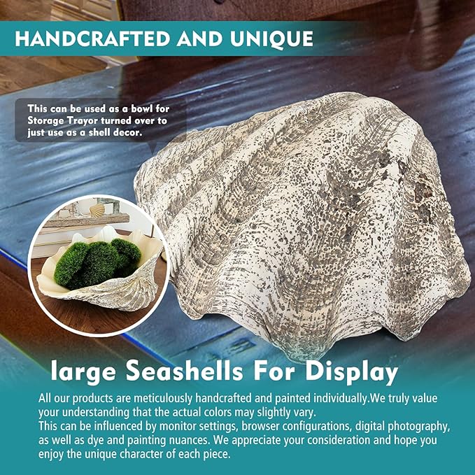 Large Mud Gray Clam Shells Decorative Bowl,Weathered style ClamShell Bowl Beach Decorations for Home Coastal Beach Decor Decoration Storage Bowls & Home Office Nautical Themed Party Decor -10.2"-1PC