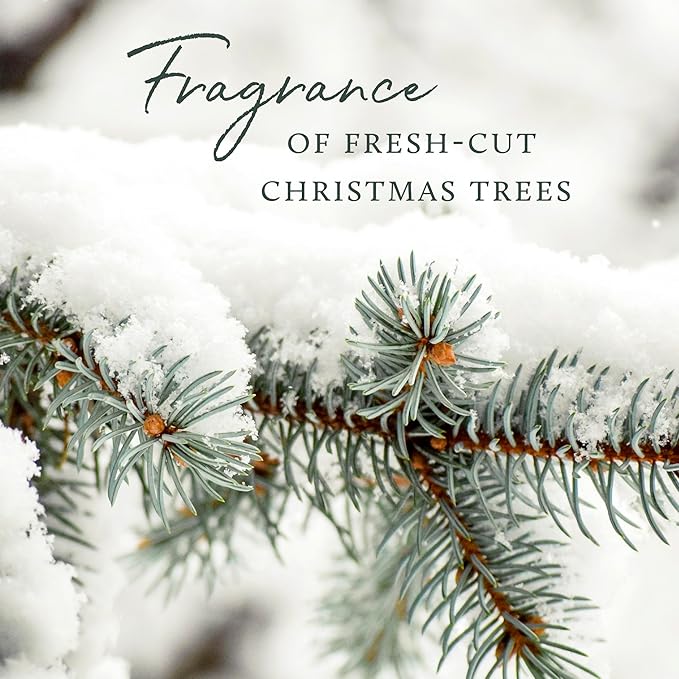 Thymes Frasier Fir Candle - Heritage Pine Needle Luminary Scented Candles - Elegant Pine Candle - Crisp Siberian Fir, Cedarwood & Sandalwood - Holiday Candles - Christmas Decor (Small, 7.5 oz)