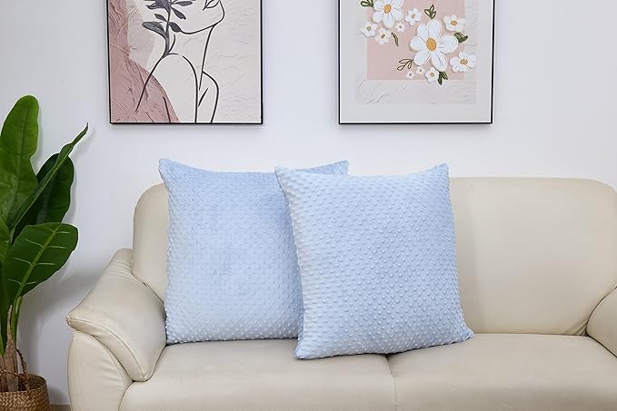 2 Packs Throw Pillow Covers, Neutral Decorative Couch Pillow Cover for Living Room Bed Sofa Rustic Farmhouse Boho Home Decor, Soft Plush Cushion Case Slipcover (SkyBlue, 24"x 24")