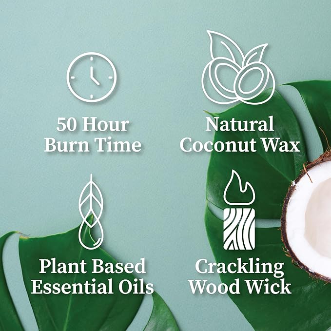 Hemlock Park Amber & Gold Wood Wick Candle Handcrafted with Natural Coconut Wax (Standard 7.2 oz, Palo Santo)