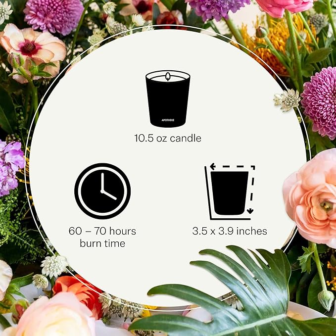 Apotheke 3-Wick Scented Candles for Home, Cardamom Chestnut - 10.5 oz Seasonal Soy Wax Jar Candle - Long-Lasting Fall Scented Fragrance with Perfume-Grade Essential Oils