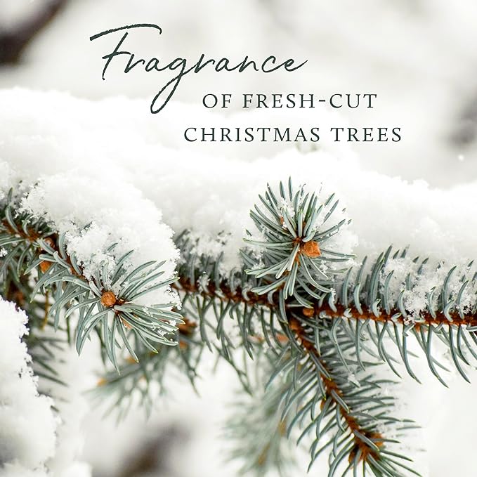 Thymes Frasier Fir Flocked Jar Candles – Holiday Scented Candles for Home with Notes of Crisp Siberian Fir, Cedarwood & Sandalwood – Luxury Home Decor Gifts for Women & Men (6.5 oz)