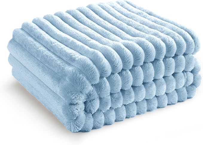 Bedsure GentleSoft Blue Fleece Blanket for Couch - Cozy Soft Blankets for Women, Cute Small Throws for Girls, Light Blue, 50x70 Inches