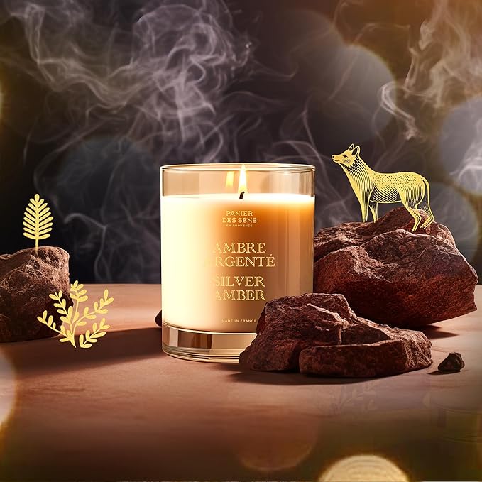 Panier des Sens – Silver Amber Candle – Christmas Clearance Scented Candles – Long Lasting Scented Candles for Home – Winter Candle – 100% Natural Cotton Wick – Decorative Home Gifts - 6.3 oz