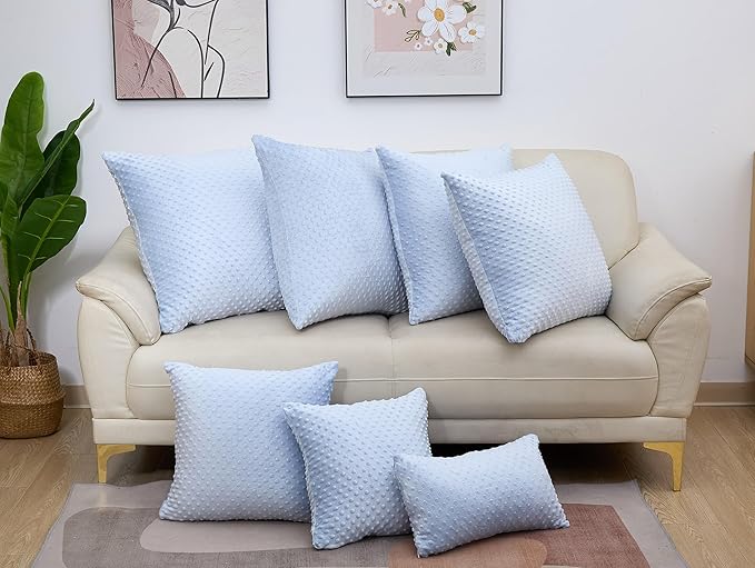2 Packs Throw Pillow Covers, Neutral Decorative Couch Pillow Cover for Living Room Bed Sofa Rustic Farmhouse Boho Home Decor, Soft Plush Cushion Case Slipcover (SkyBlue, 18"x 18")