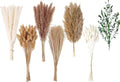 123 PCS Dried Flower Bouquet – Pampas Grass, Floral Decor for Home, Wedding, and Boho Style | Perfect for Vases, Fall, Spring, Summer, and Winter Arrangements