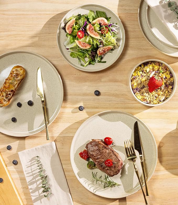TheTerra Ceramic Dinnerware Sets for 4, 12 Pieces Porcelain Lightweight Speckled Plates and Bowls Sets, Scratch Resistant Dish Set, Oven & Microwave & Dishwasher Safe