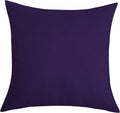 TangDepot Handmade Decorative Solid 100% Cotton Canvas Throw Pillow Covers/Pillow Shams, (22"x22", Purple)