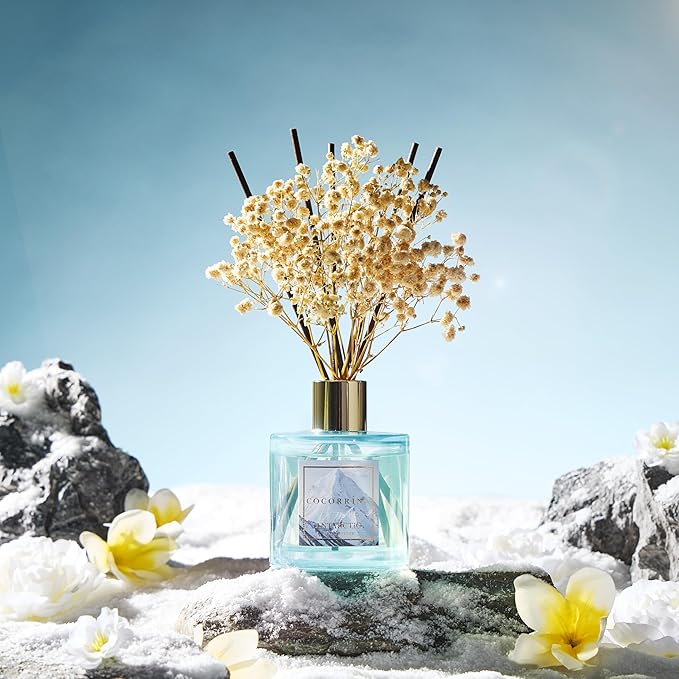 COCORRÍNA Reed Diffuser - Antarctic 6.7 Fl.oz Reed Diffuser Set with 8 Sticks & Preserved Baby's Breath, Reed Diffuser for Home Bathroom Shelf Decor