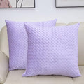 2 Packs Throw Pillow Covers, Neutral Decorative Couch Pillow Cover for Living Room Bed Sofa Rustic Farmhouse Boho Home Decor, Soft Plush Cushion Case Slipcover (Orchid, 24"x 24")
