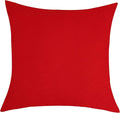 TangDepot Handmade Decorative Solid 100% Cotton Canvas Throw Pillow Covers/Pillow Shams, (24"x24", Red)