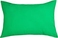TangDepot Handmade Decorative Solid 100% Cotton Canvas Throw Pillow Covers/Pillow Shams, (12"x18", Bright Green)
