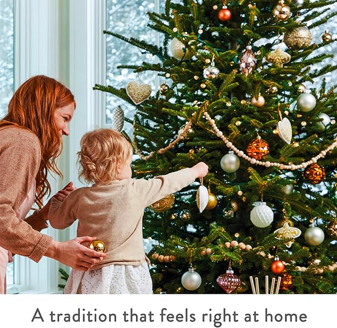 Thymes Frasier Fir Candles - Statement Collection - Silver with Pine Needle Design - Scented Candles for Home Decor - Notes of Siberian Fir Needles, Cedarwood & Sandalwood - Large 4 Wick (40 oz)