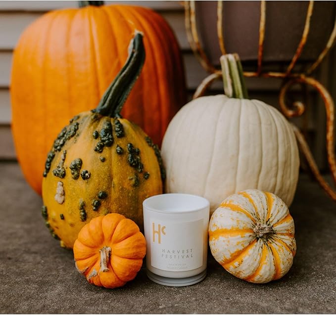 Long-Lasting Harvest Festival Fragrance - Single Wick Scented Candles - Up to 60 Hour Burn Time, Cruelty-Free Soy Candle Wax Blend - Pumpkin Fragrance, Notes of Amber & Orange (9 oz)